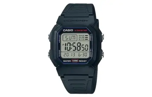 CASIO Men Gray Watch W-800H-1AV