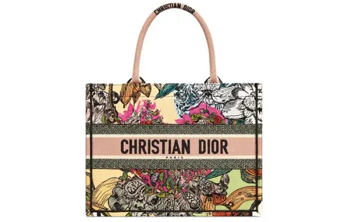 DIOR BookTote Handbags