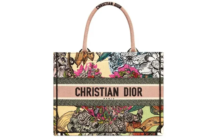 DIOR BookTote Handbags