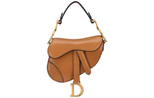 DIOR Saddle Handbags
