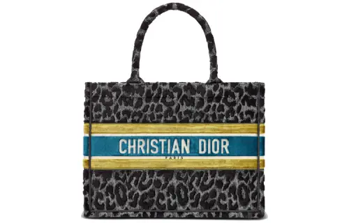 DIOR BookTote Handbags