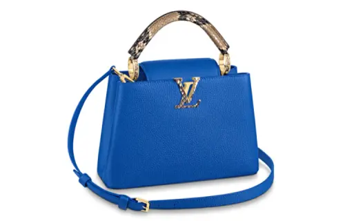 LOUIS VUITTON Capucines Handbags