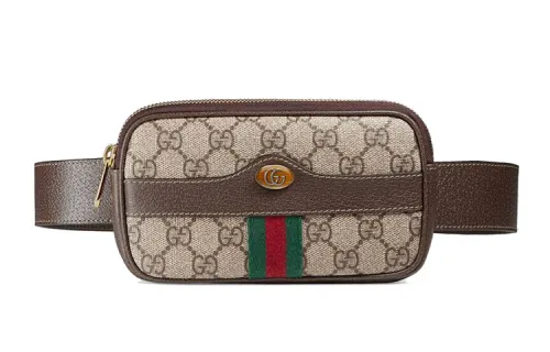 GUCCI Ophidia Fanny Packs