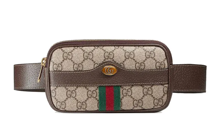 GUCCI Ophidia Fanny Packs
