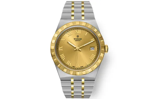 TUDOR Royal Collection Automatic Mechanical Movement Men's Watches Watch 38mm Gold Dial Steel Watch Case