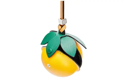 LOEWE Bag Accessories