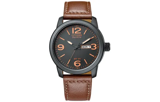 CITIZEN Men's Ecology Drive Collection Watch