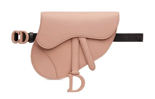 DIOR Saddle Fanny Packs