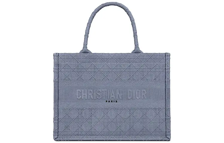 DIOR BookTote Denim Handbag Small Women's Denim Blue