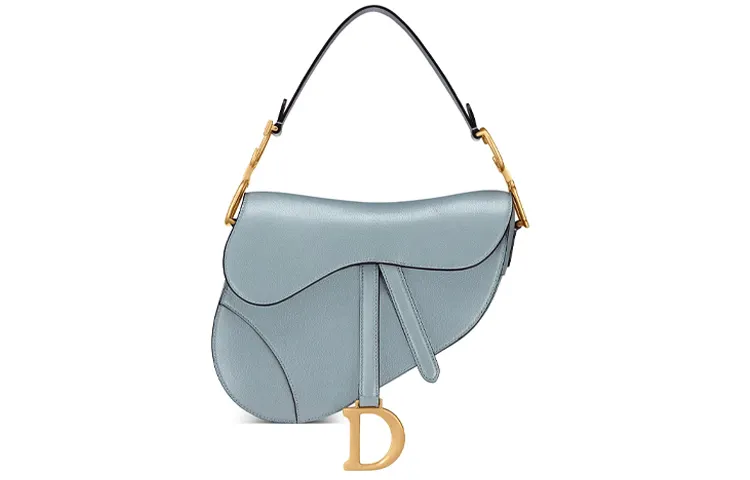 DIOR Saddle Handbags