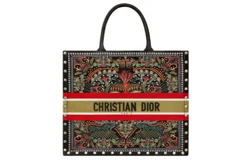 DIOR BookTote Handbags
