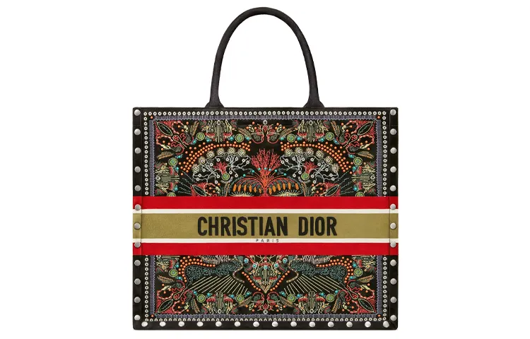 DIOR BookTote Handbags
