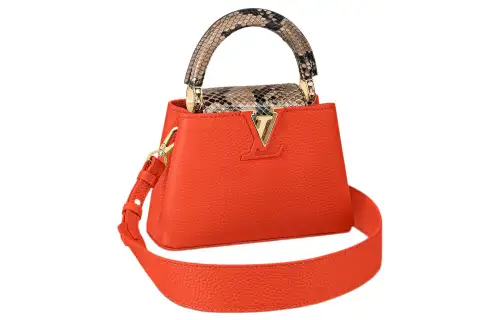LOUIS VUITTON Capucines Handbags