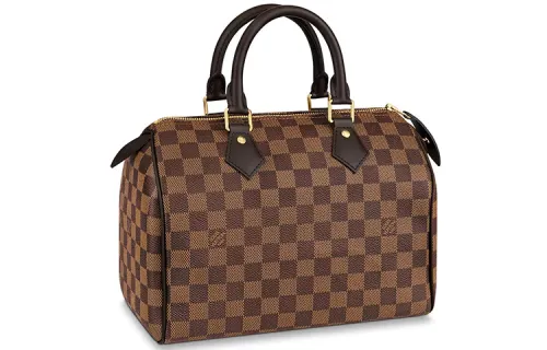 Louis Vuitton 2008 pre-owned Damier Ebene Speedy 25 handbag