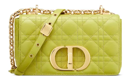 DIOR Caro Series Crossbody Bags