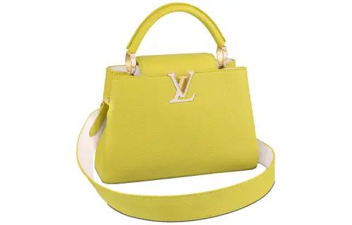 LOUIS VUITTON Capucines Handbags