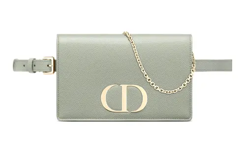 DIOR Fanny Packs