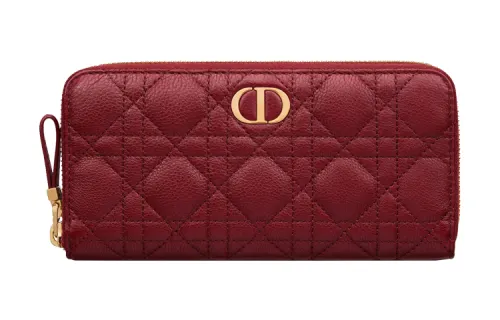 DIOR Clutches