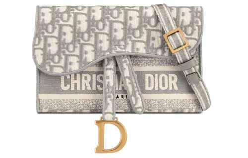 DIOR Embroidery Leather Saddle Bag, Handheld Shoulder Bag, Crossbody Bag Regular Women's Gray