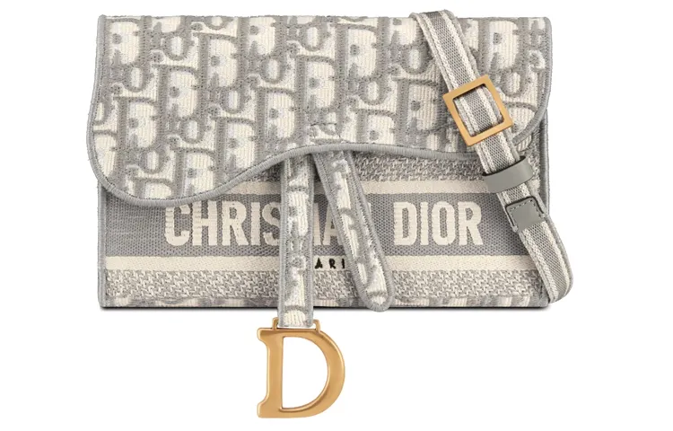 DIOR Embroidery Leather Saddle Bag, Handheld Shoulder Bag, Crossbody Bag Regular Women's Gray