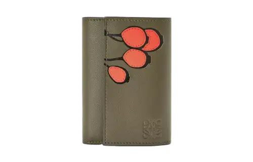 LOEWE Wallets