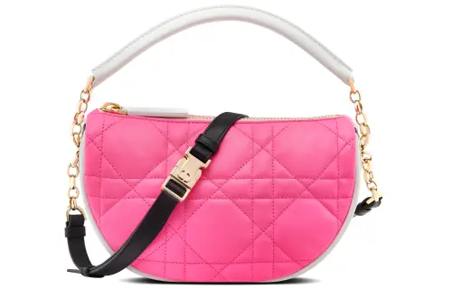 DIOR Vibe Collection Handbags