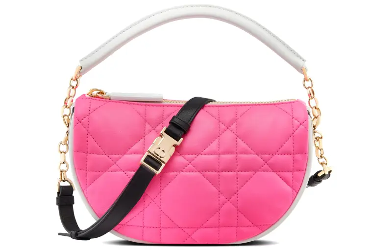 DIOR Vibe Collection Handbags