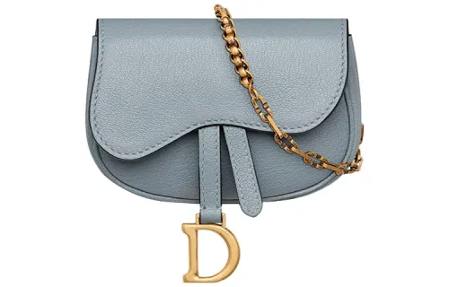 DIOR Clutches