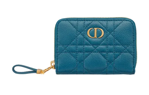 DIOR Clutches