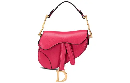 DIOR Saddle Handbags