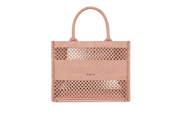 DIOR BookTote Handbags