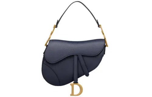 DIOR Saddle Handbags