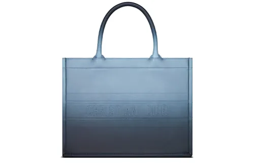 DIOR BookTote Handbags