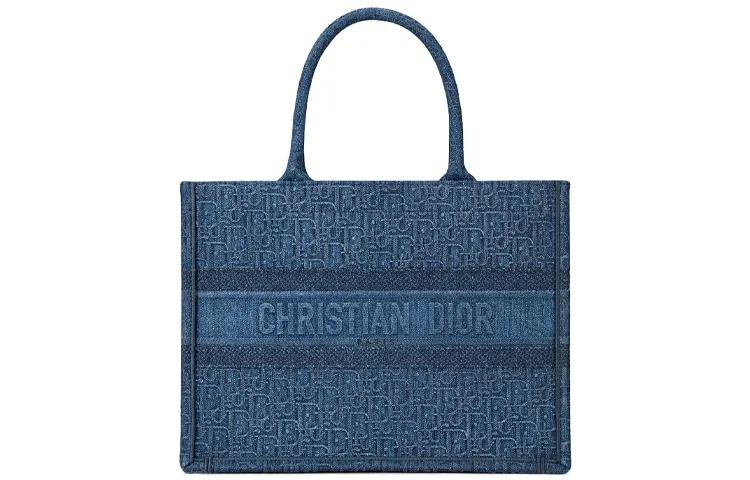 DIOR BookTote Handbags