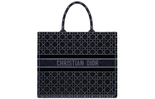 DIOR BookTote European And American Fashion Embroidery Velvet Tote Bag, Shopping Bag, Handbag Unisex Blue