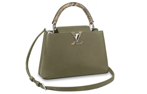 LOUIS VUITTON Capucines Wide Python Skin Handbag Regular Women's Green
