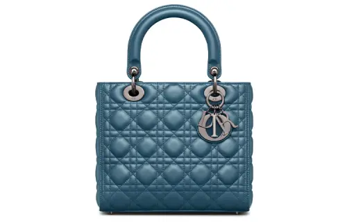 DIOR Handbags