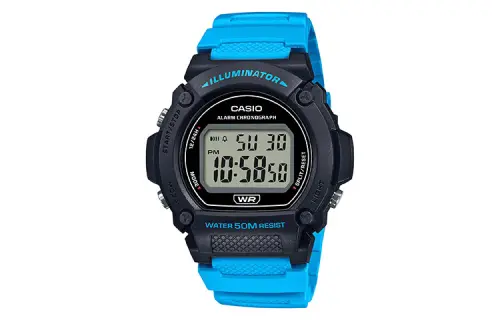 CASIO G-Shock W-219H-2A2