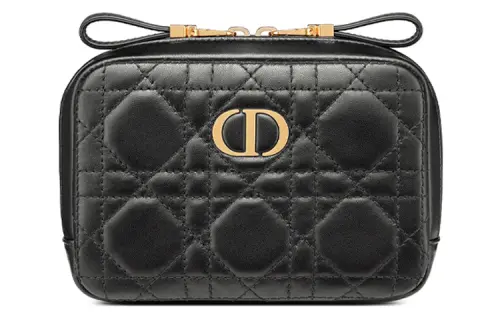 DIOR Caro Series Clutches