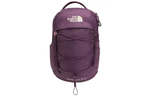 THE NORTH FACE Borealis 10L Backpack Outdoor Bag Polyester Blackberry Wine Women's