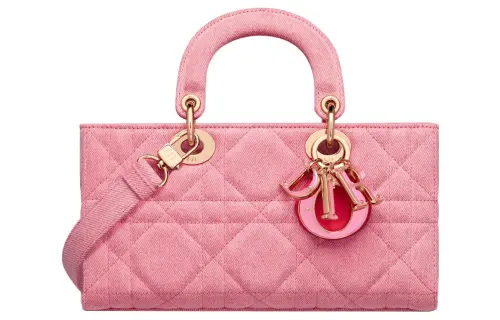 DIOR Handbags