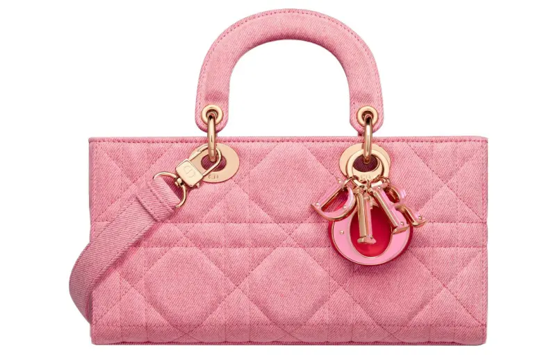 DIOR Handbags