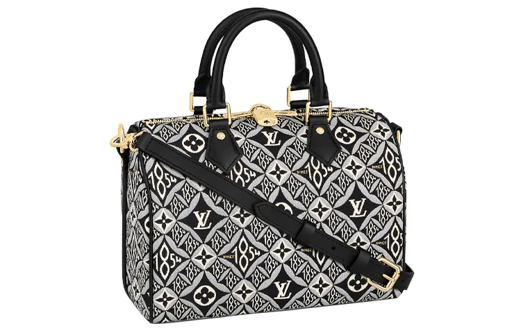 LOUIS VUITTON Speedy Leather Pillow Bag, Shoulder Bag, Crossbody Bag, Handbag Regular Women's Black