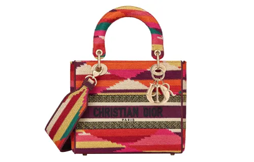 DIOR Handbags