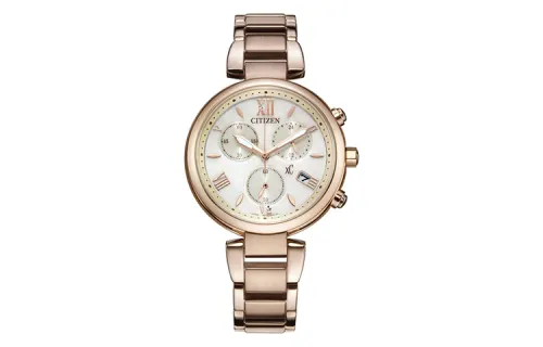 CITIZEN Ecology Drive Collection Light Powered Quartz Movement Stainless Steel Strap Watch