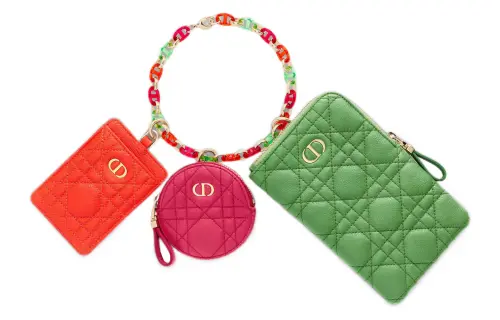 DIOR Caro Clutches