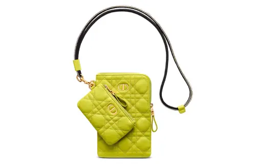 DIOR Caro Series Clutches