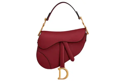 DIOR Saddle Handbags