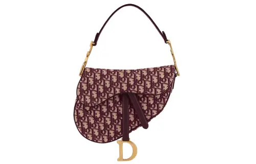 DIOR Saddle Canvas Saddle Bag Handbag, Shoulder Bag Women's Red