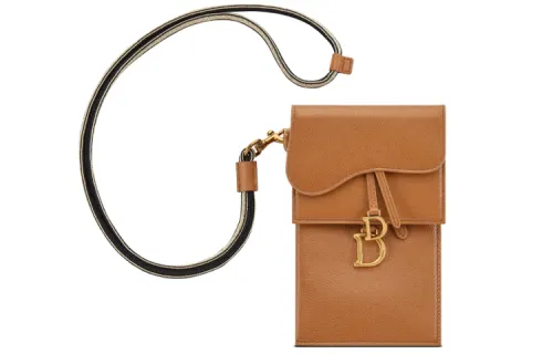 DIOR Clutches